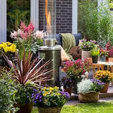 Tuinplanten